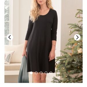 Garnet Hill Seamed Knit Trapeze Dress